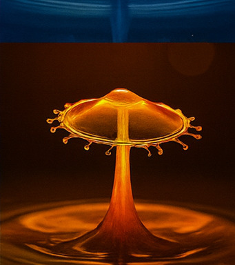 몰입형 모험 체험